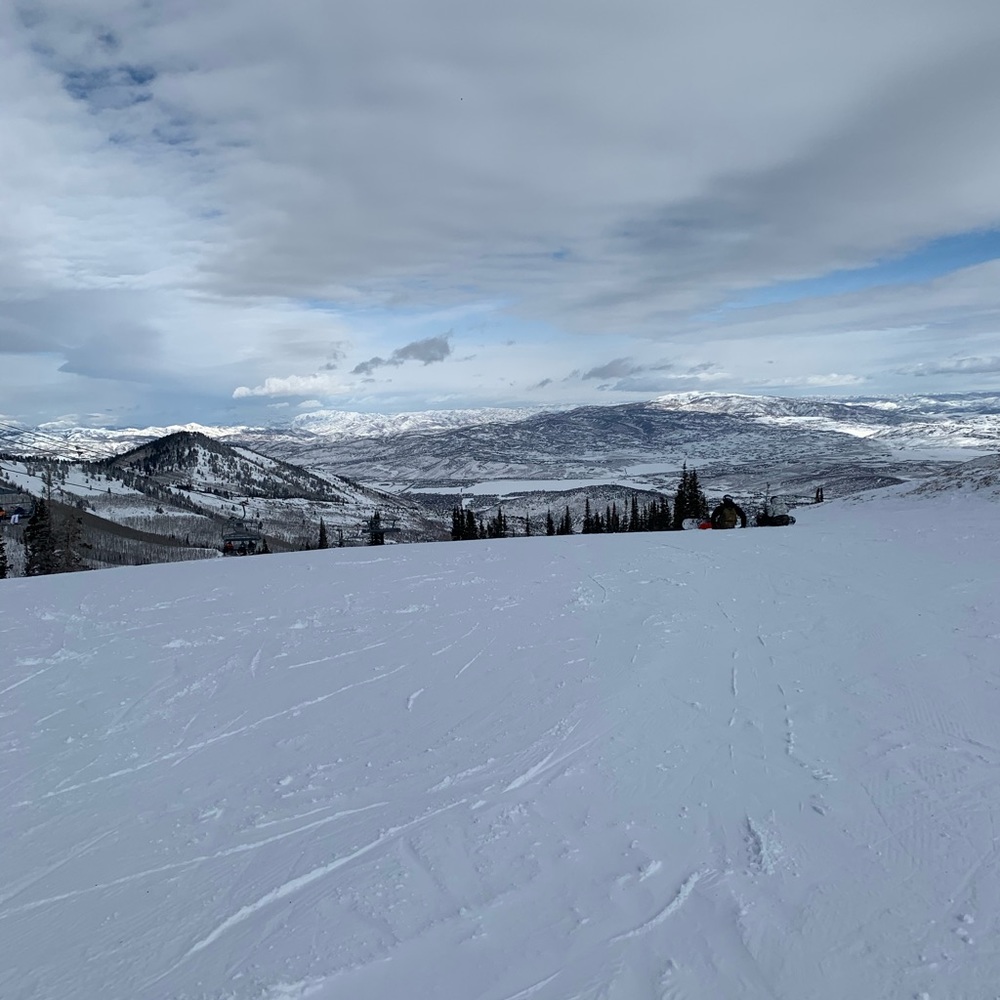 Meet your Posher, Jp